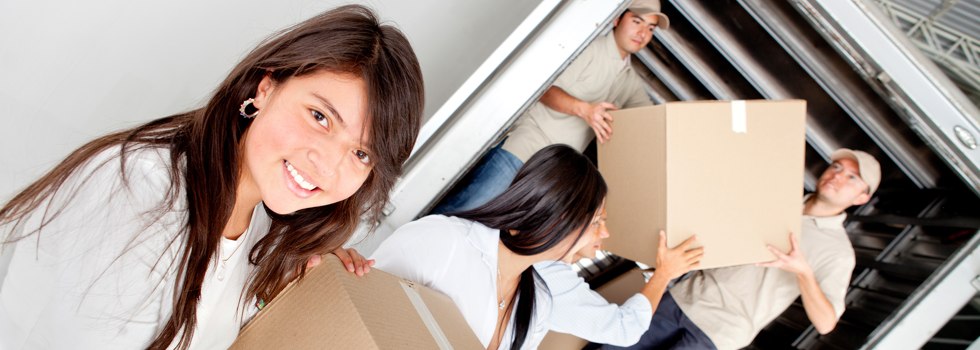 Professional Removalists Monsildale